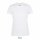 REGENT DONNA T-SHIRT 150g