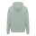 Iqoniq Yoho Relax-Hoodie aus recycelter Baumwolle Iceberg green