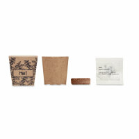 Pflanz-Set Minze Beige