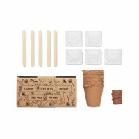 Kit per coltivare fiori Beige